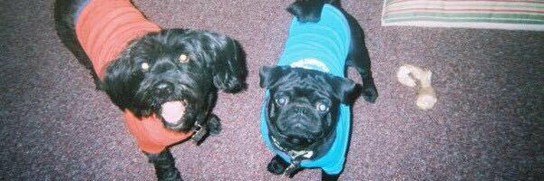 _littleAB Profile Banner