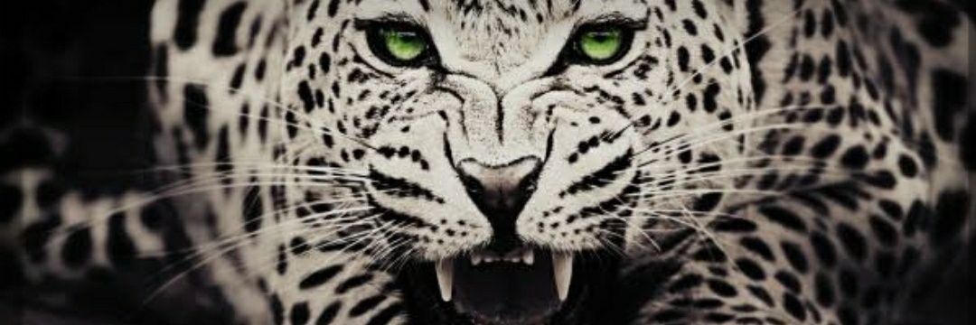 Last_Caller's profile banner image