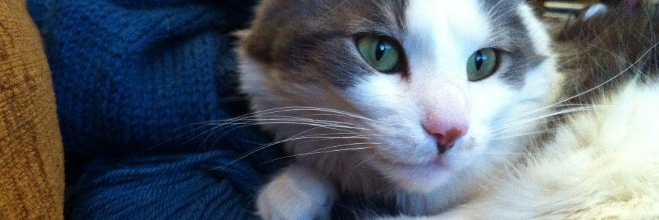 aquariankate's profile banner image