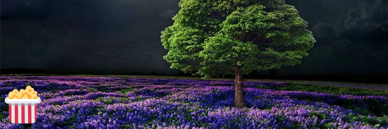 Amber_444's profile banner image