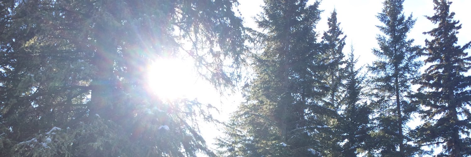 northsario's profile banner image