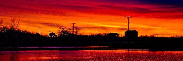 TheStarPhoenix Profile Banner