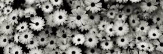 BethCairney's profile banner image