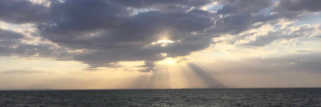 Patricia López banner