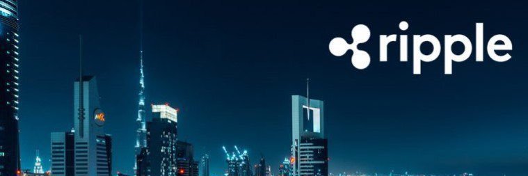 Papa Crypt XRP banner