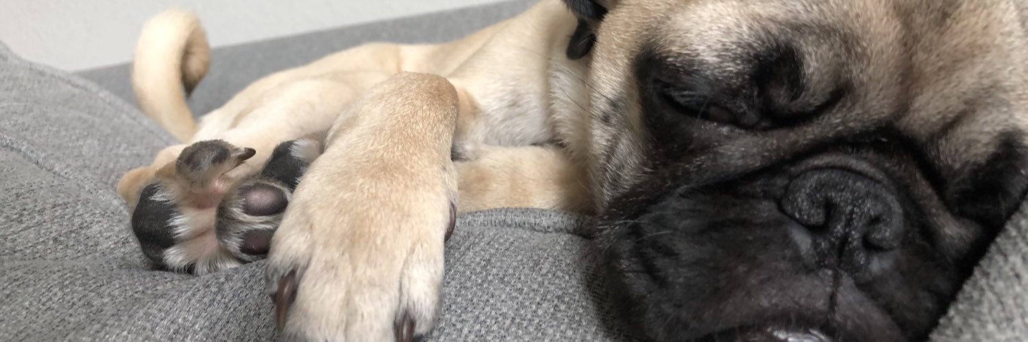 doubblee_d's profile banner image