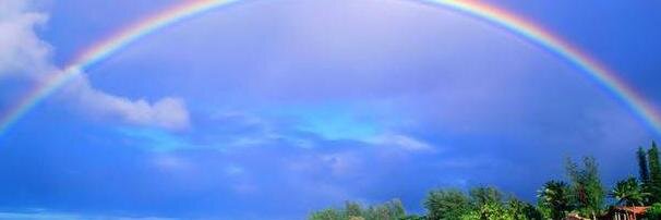 lchun01's profile banner image
