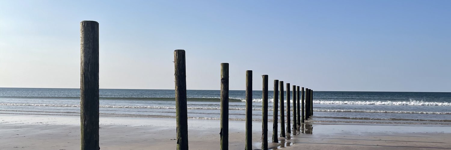 Alison McCoubrey banner