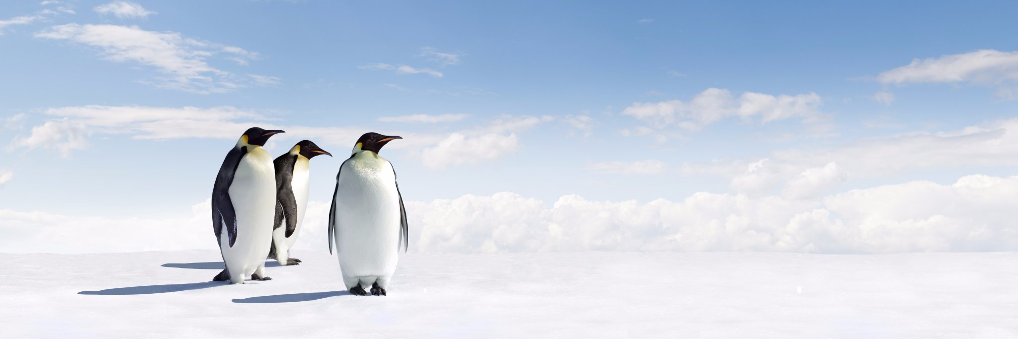Merkelijkheid's profile banner image