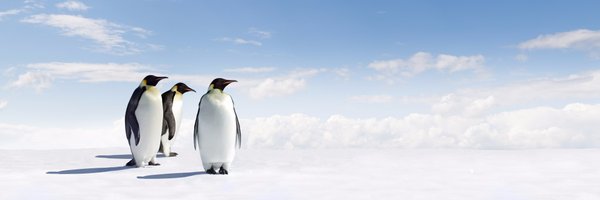 Merkelijkheid Profile Banner