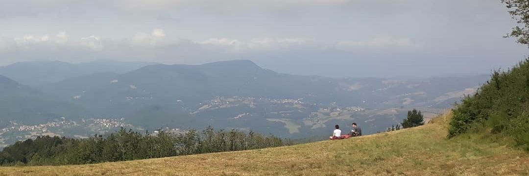 lucapezzetti's profile banner image