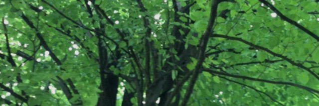 Bartels_Jan's profile banner image