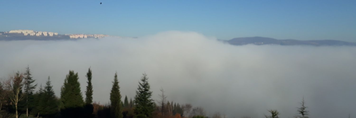 biyolog41's profile banner image