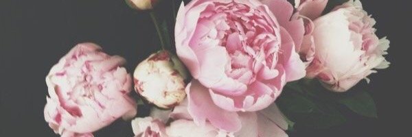 ashmatsuno's profile banner image