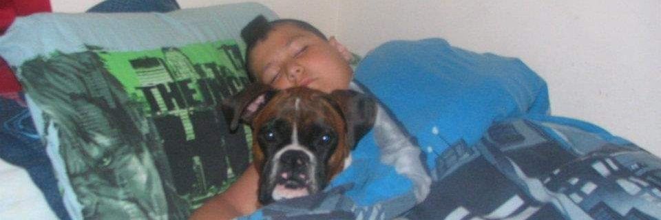 awesomechach's profile banner image
