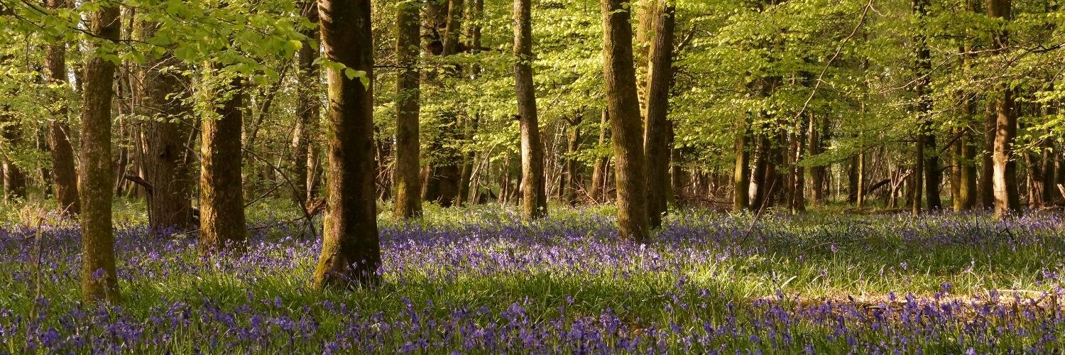 hucklesbrook's profile banner image