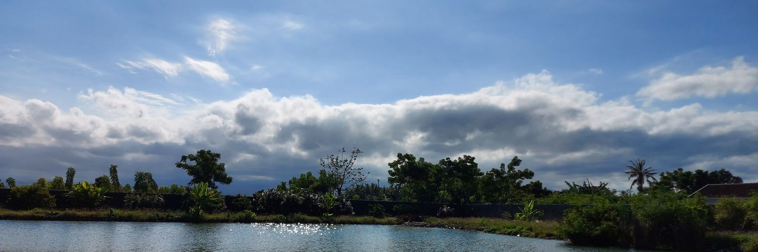 dimsumurah's profile banner image