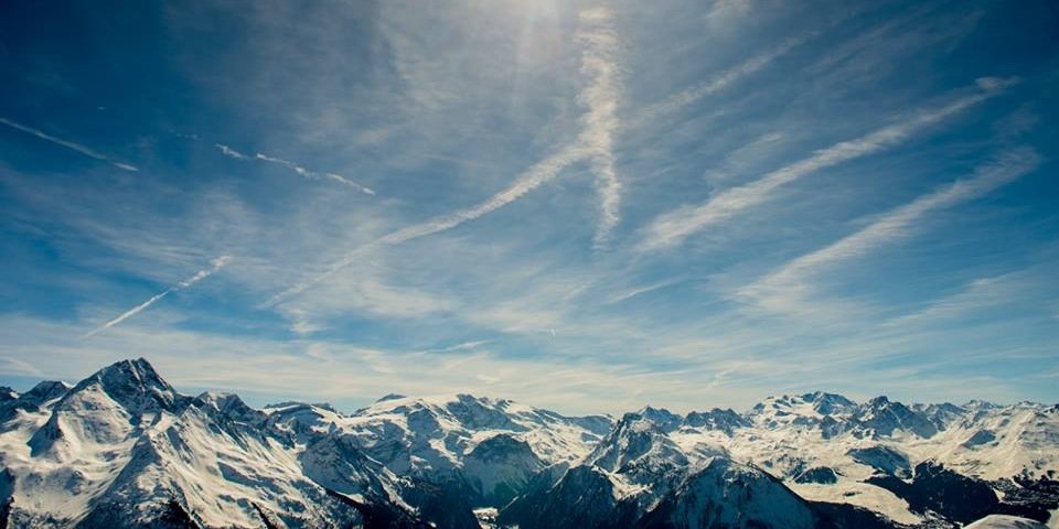 Tijs Rotsaert banner