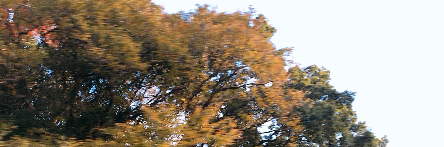 a____misan's profile banner image