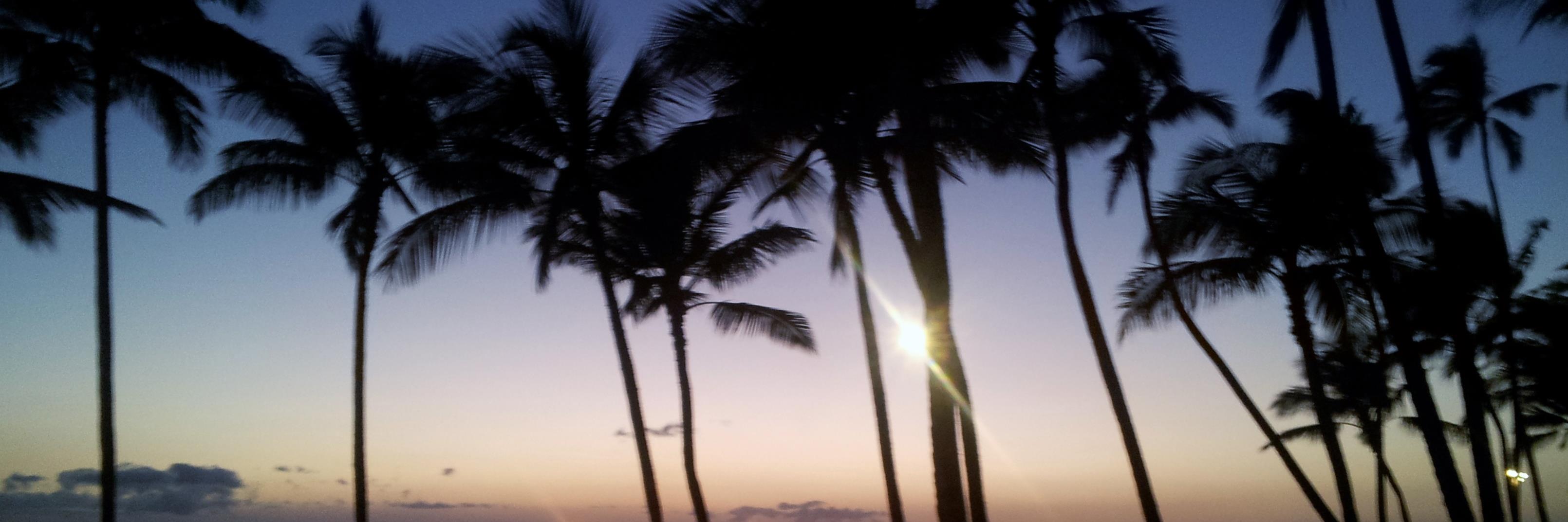DenaFenner's profile banner image