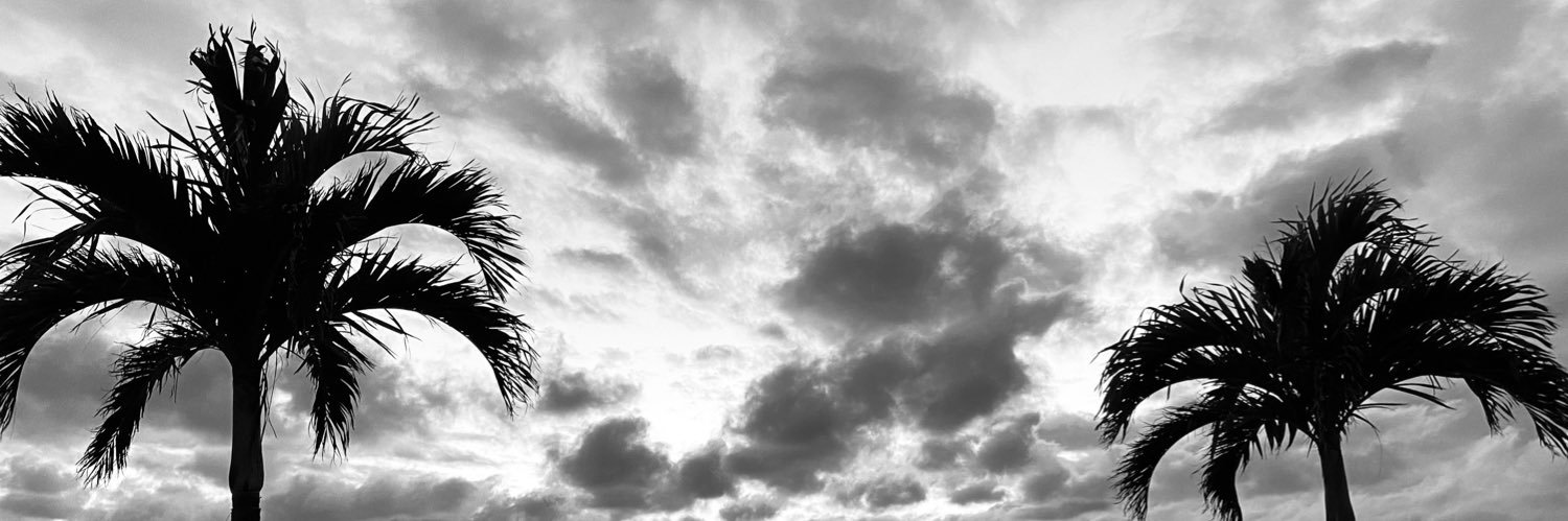 Ochan_ocha's profile banner image