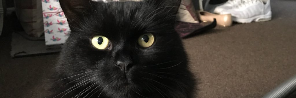 bruce13365's profile banner image