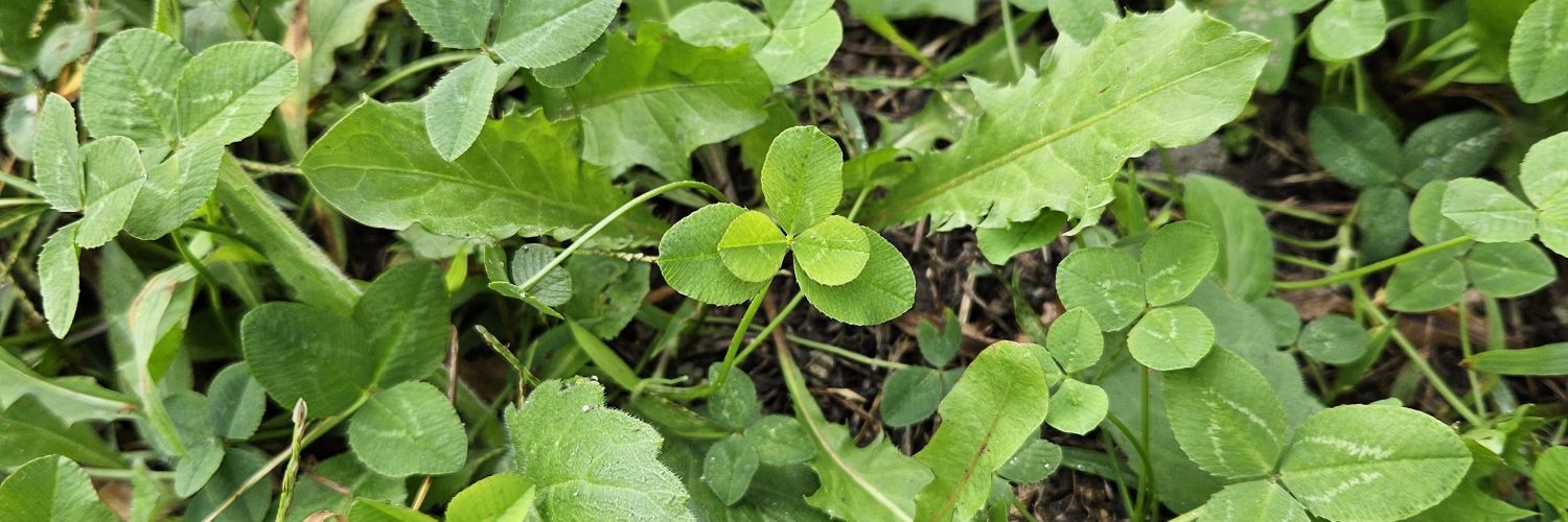 藍紺 匠人 banner