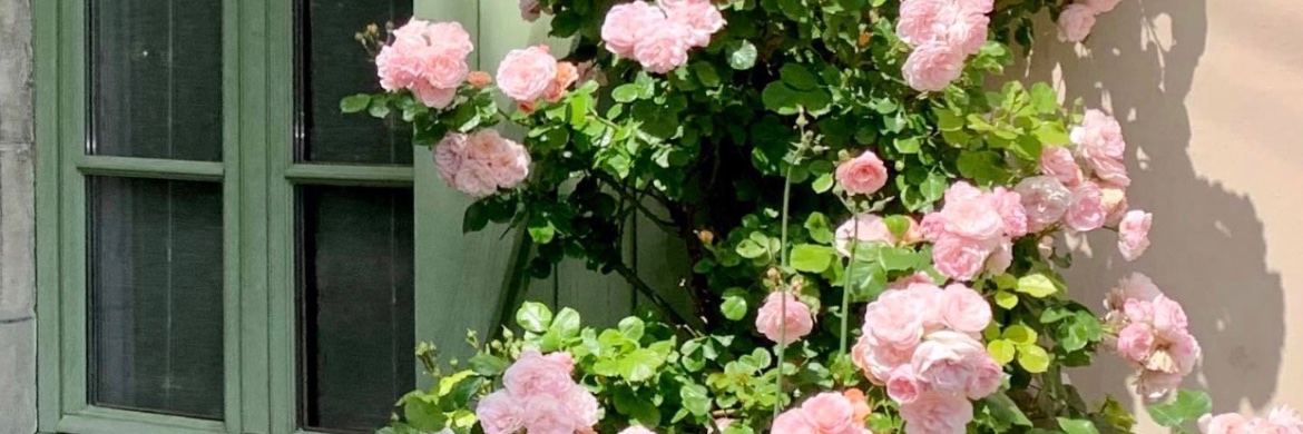 Marie-Ève Trudel banner