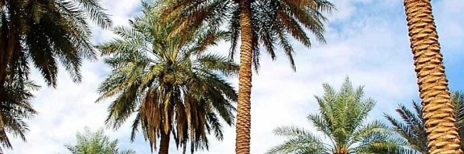 الحياة امل banner