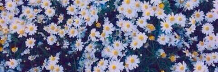 mireiiit's profile banner image