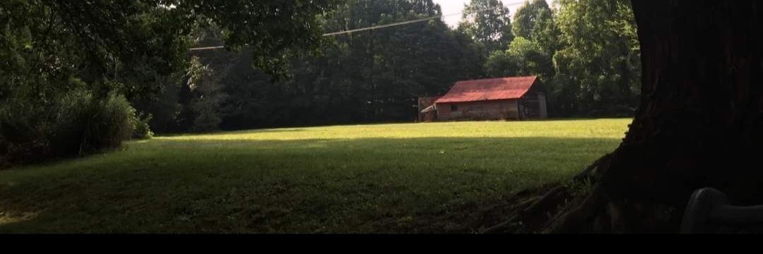 Sole deo gloria 🌺🌻🐛🪷🐞 banner