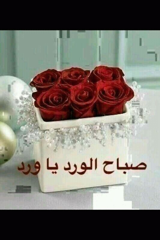 abeermid's profile banner image