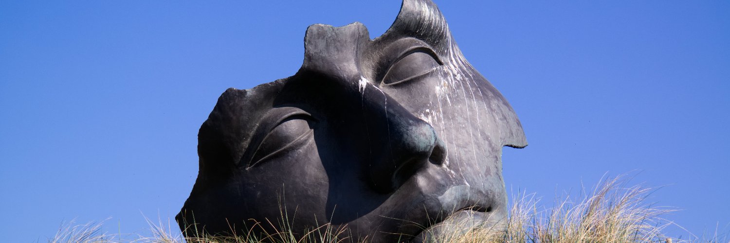 Robert Macniel banner