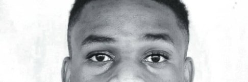 dstephano1's profile banner image
