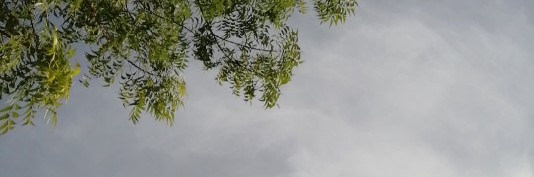 Hsh_259's profile banner image
