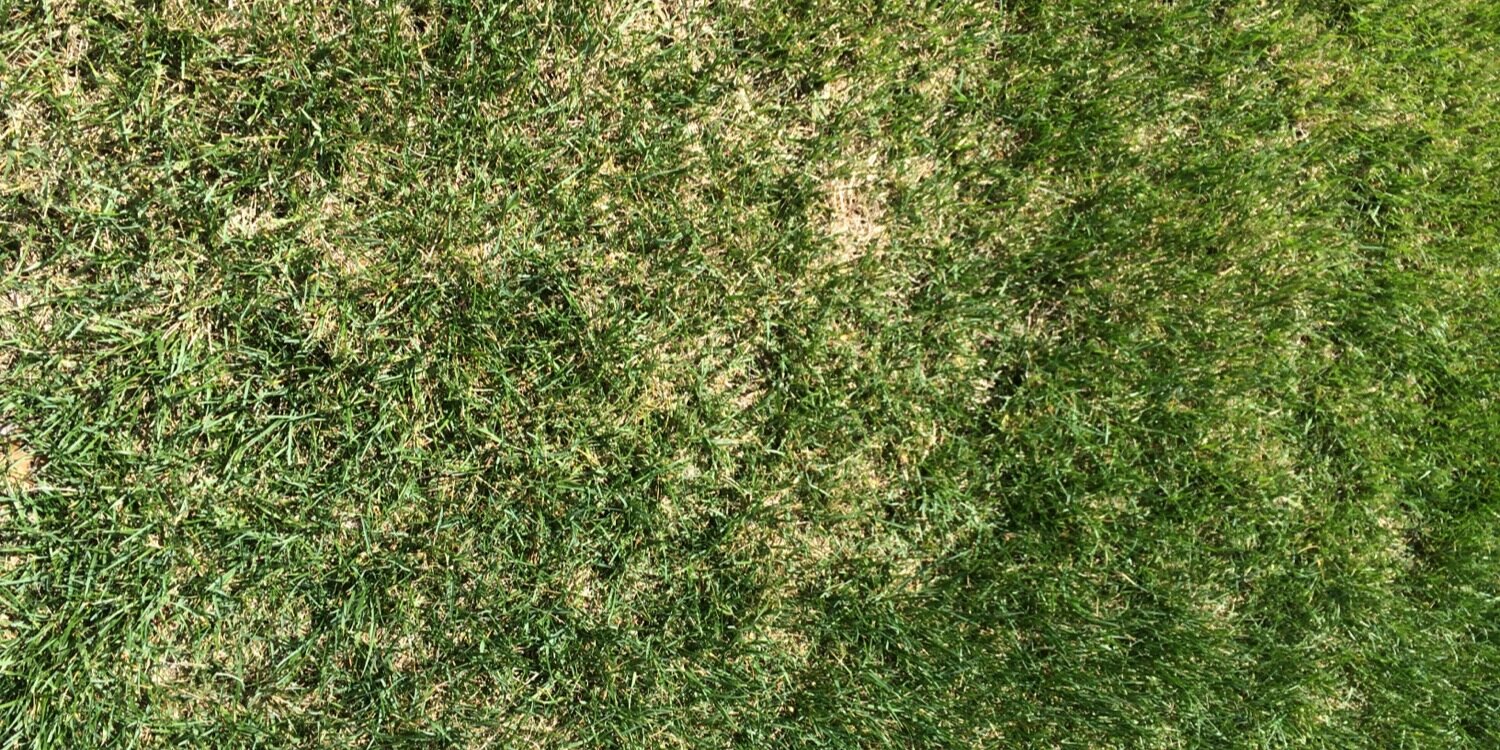 willshipp3's profile banner image