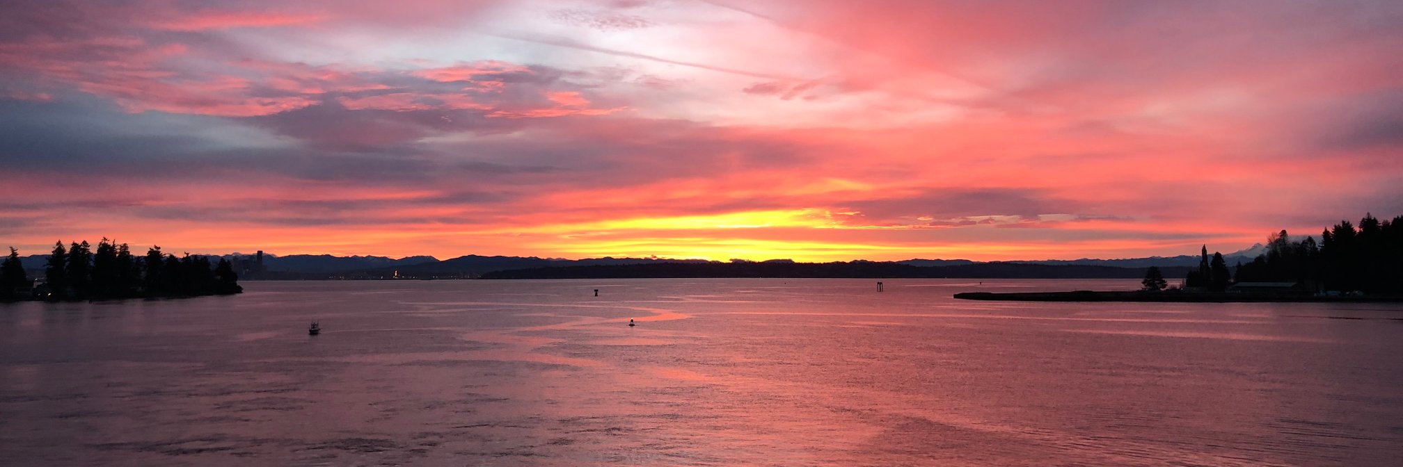 Brian McCallister banner