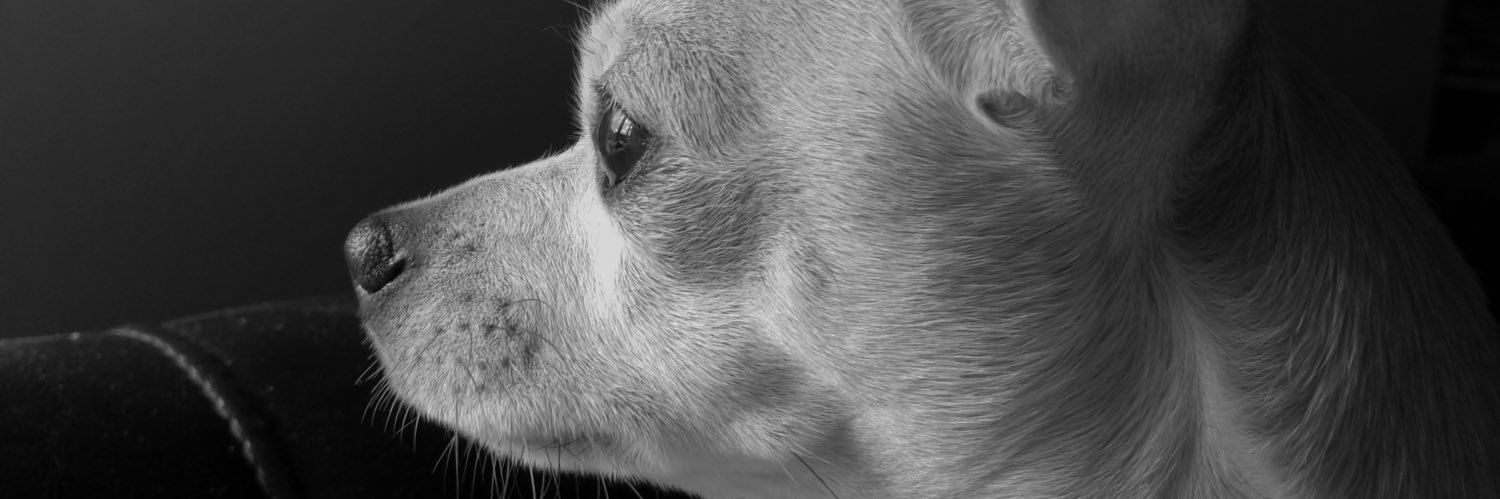 BronzeSR4Life's profile banner image