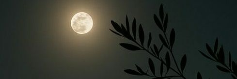 Professor. Mustafa🔥 banner