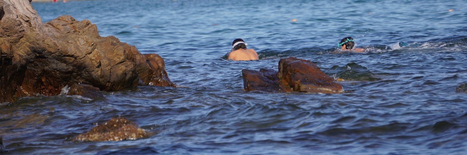 Christian Wolf (🦋🦋🦋) banner