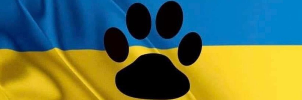 graemespence103's profile banner image