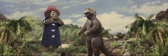 Sam Treviño, this cat head is my real head banner