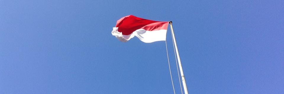 Budiono Sukses banner