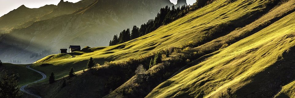 Giuseppitor's profile banner image