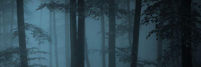 veralundi's profile banner image