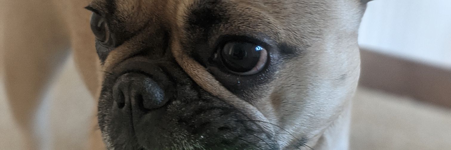 bagofsongs's profile banner image