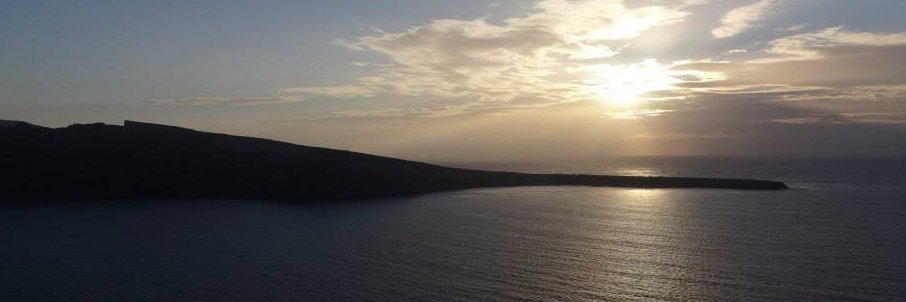 María Farías banner