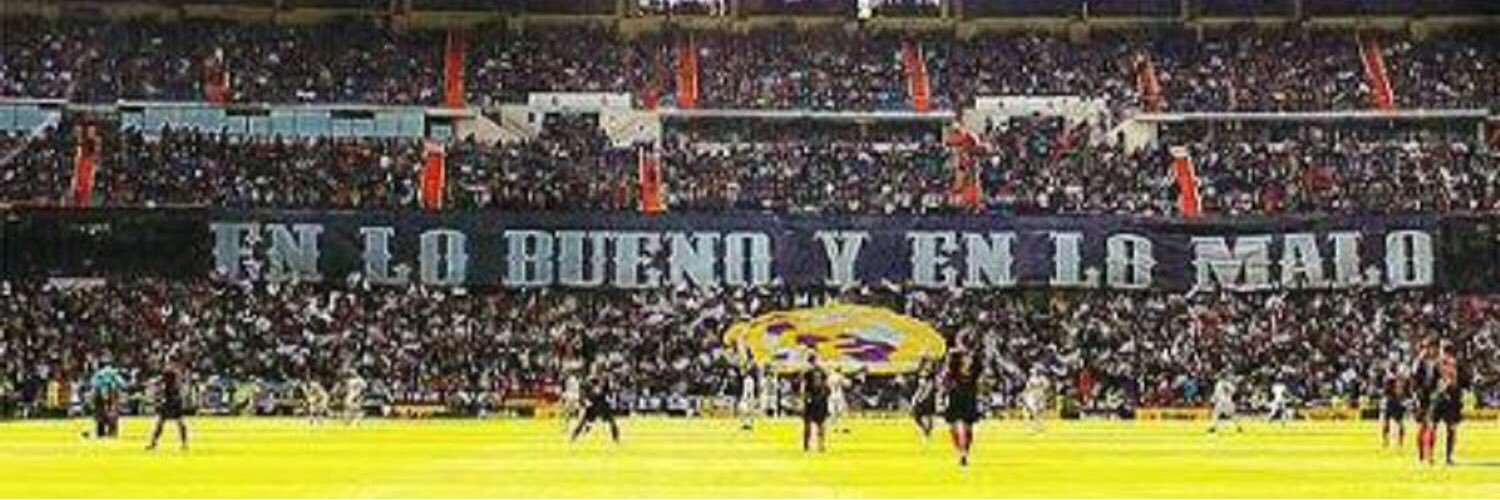 losdelosmultis's profile banner image
