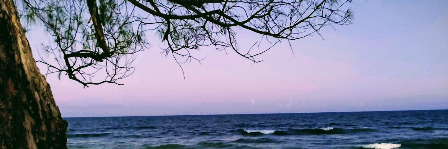 Larissa_scg's profile banner image