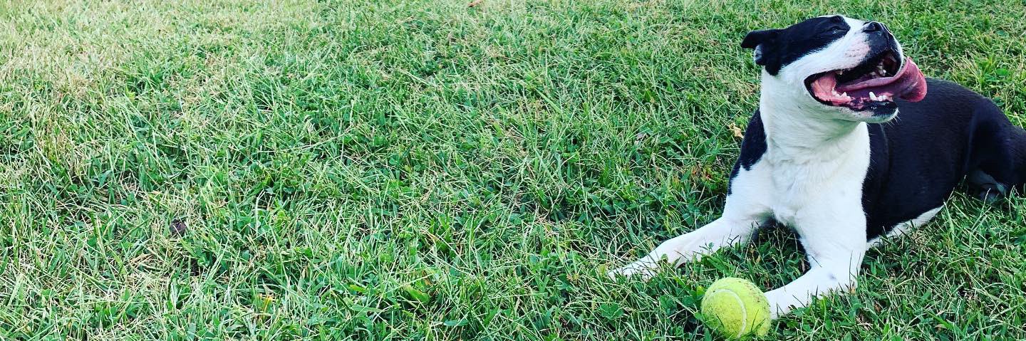 TheJakeTyler's profile banner image